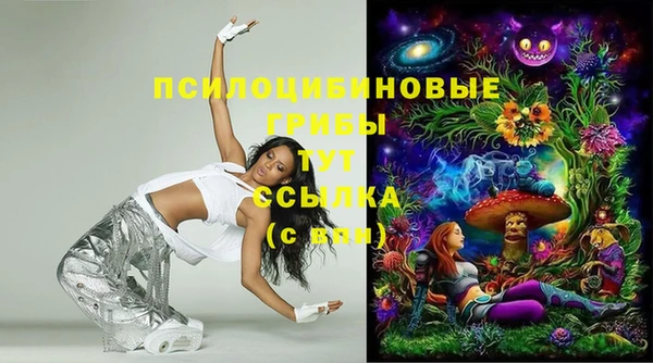 ПСИЛОЦИБИНОВЫЕ ГРИБЫ Нея