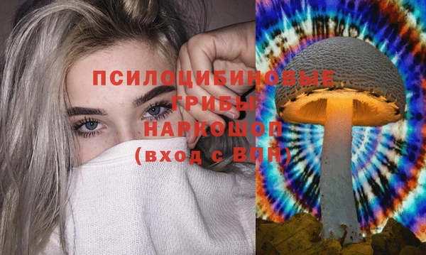 ПСИЛОЦИБИНОВЫЕ ГРИБЫ Нея