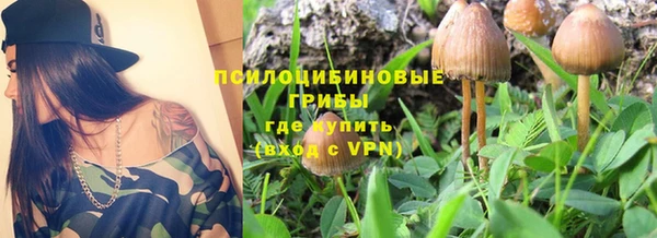 ПСИЛОЦИБИНОВЫЕ ГРИБЫ Нея