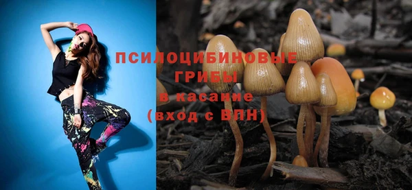 ПСИЛОЦИБИНОВЫЕ ГРИБЫ Нея