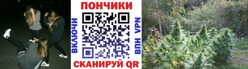 Конопля планчик Холмск